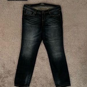Torrid 16s Luxe Skinny Jeans